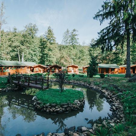 Hotel Vidra Park Sicasău Exterior foto